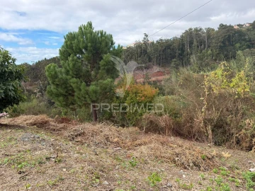 Terreno para Venda em Caniço