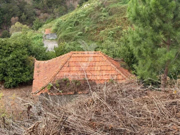 Terreno para Venda em Caniço