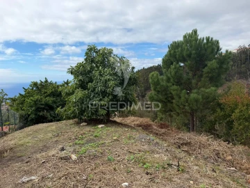 Terreno para Venda em Caniço