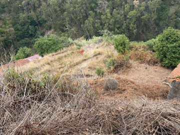 Terreno para Venda em Caniço