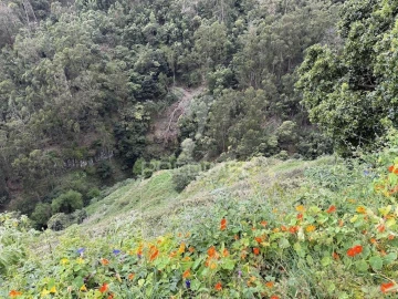 Terreno para Venda em Caniço