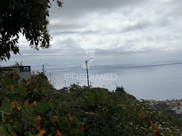Terreno para Venda em Caniço
