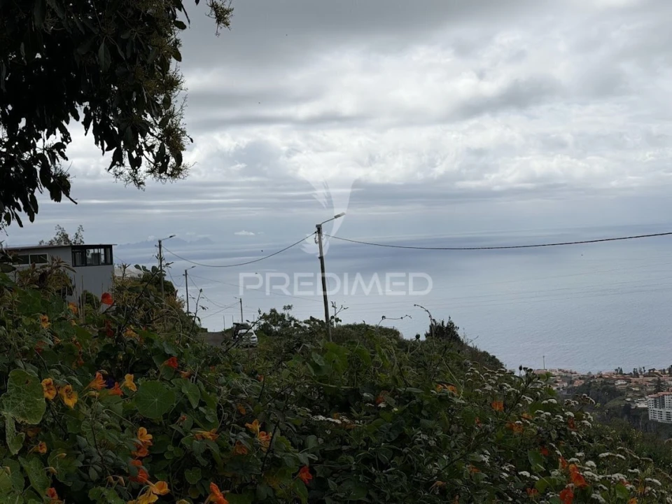 Terreno para Venda em Caniço Foto 3