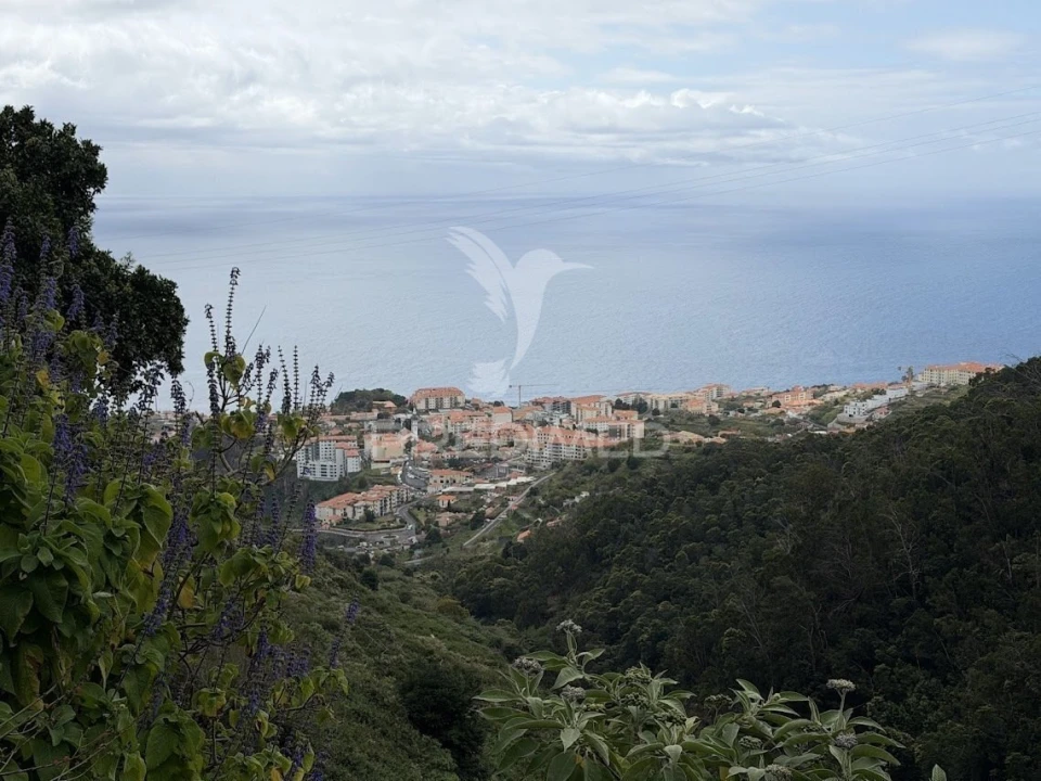 Terreno para Venda em Caniço Foto 1
