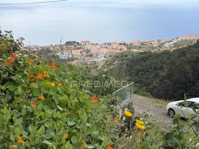 Terreno para Venda em Caniço Foto 2