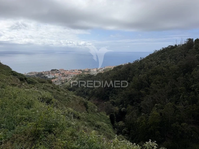 Terreno para Venda em Caniço Foto 5
