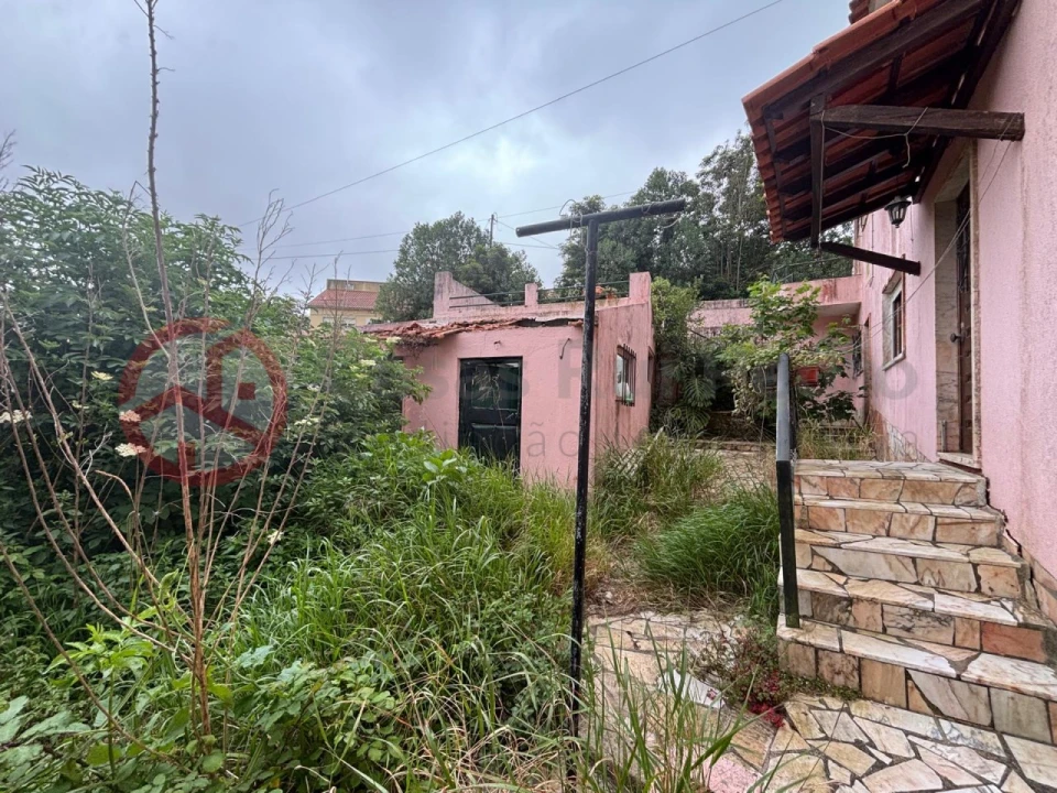 Prédio para Venda em Santa Maria e São Miguel, São Martinho, São Pedro Penaferrim Foto 25