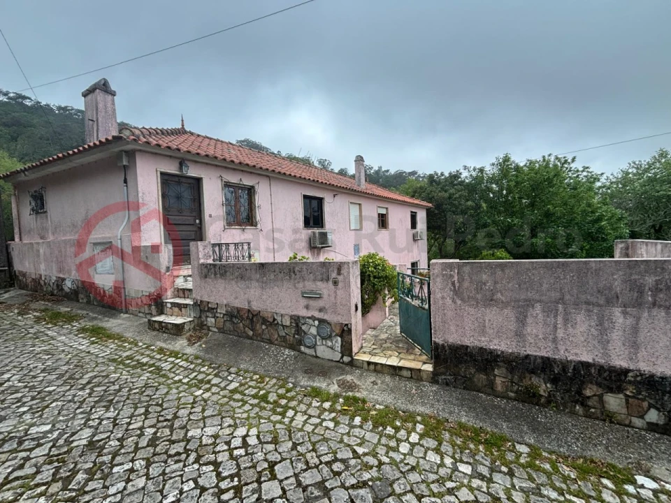 Prédio para Venda em Santa Maria e São Miguel, São Martinho, São Pedro Penaferrim Foto 31