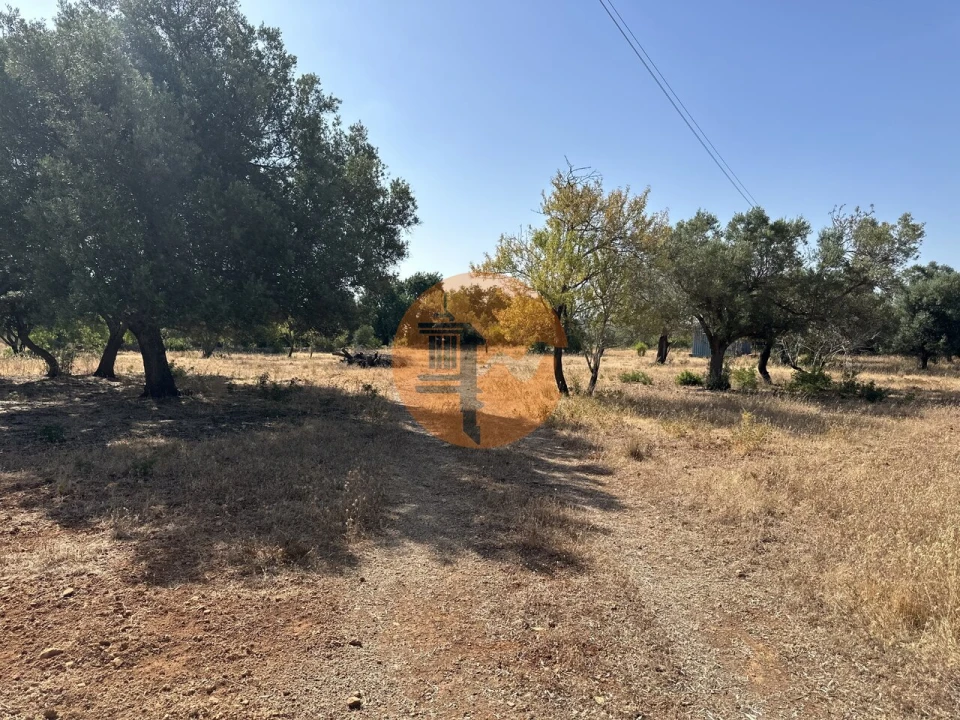 Terreno para Venda em Quelfes Foto 19