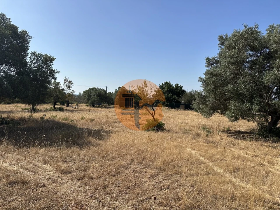 Terreno para Venda em Quelfes Foto 23