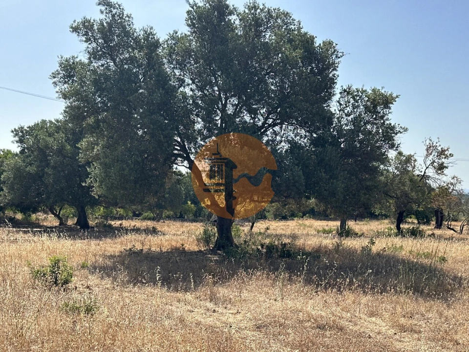 Terreno para Venda em Quelfes Foto 25