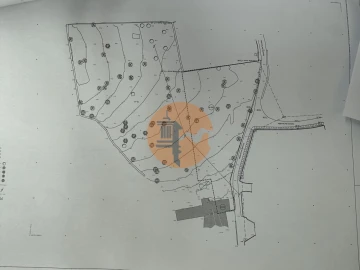 Terreno para Venda em Quelfes