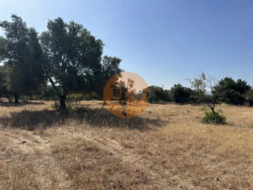 Terreno para Venda em Quelfes