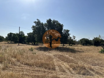 Terreno para Venda em Quelfes