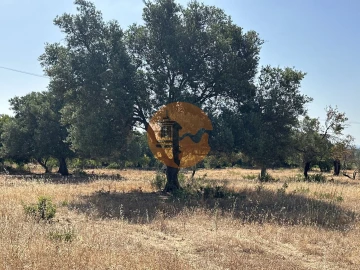 Terreno para Venda em Quelfes