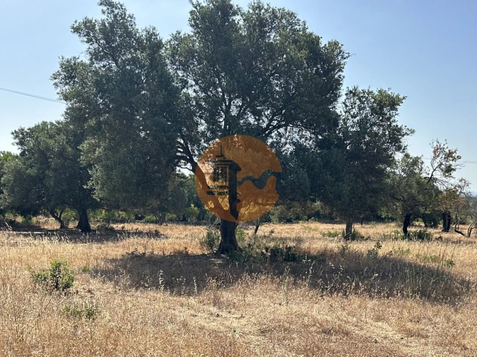 Terreno para Venda em Quelfes Foto 25