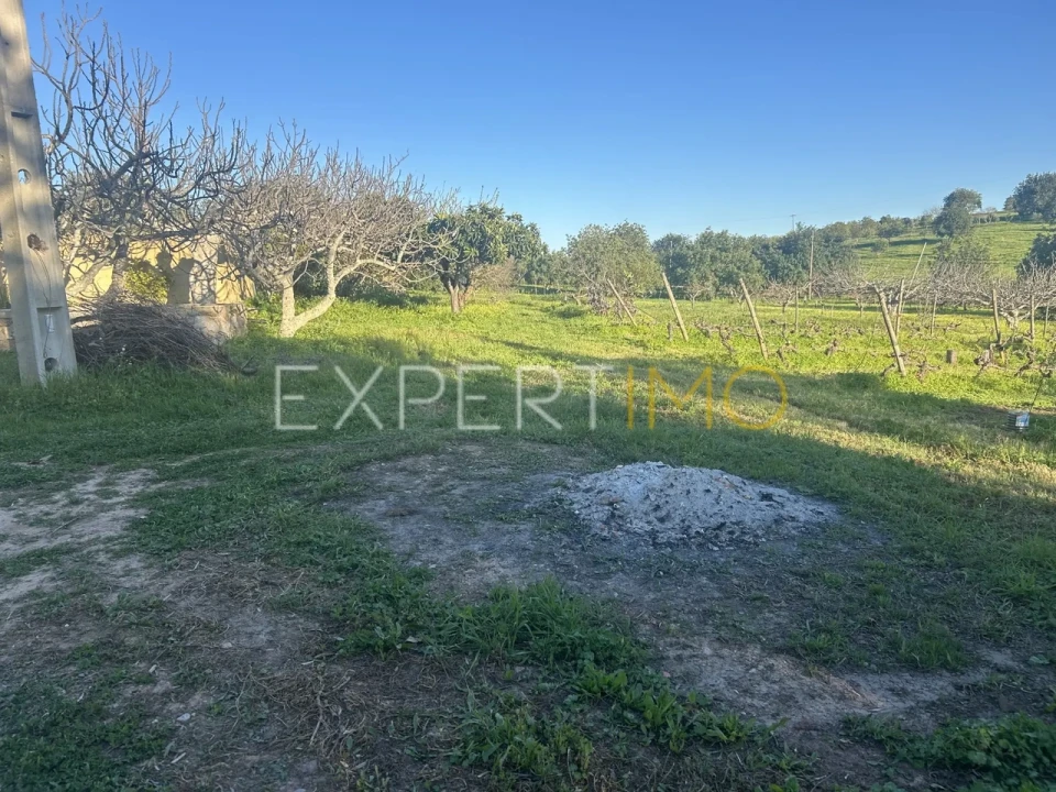 Quinta T4 para Venda em Santa Catarina da Fonte do Bispo Foto 33