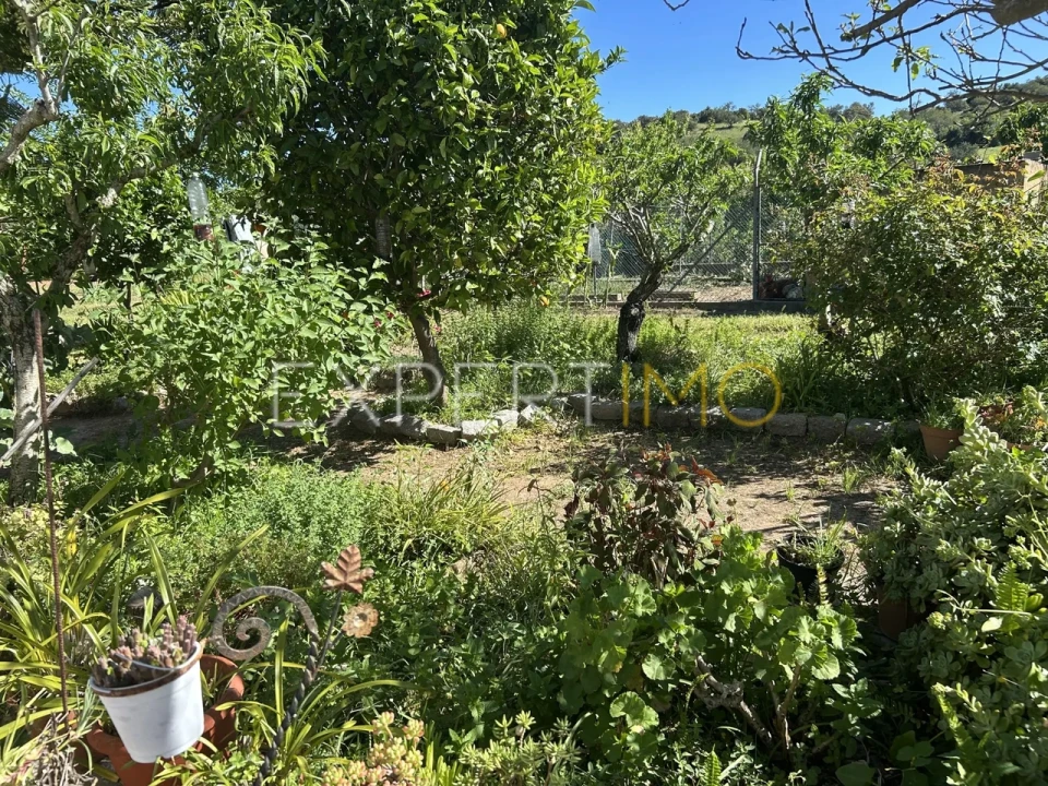 Quinta T4 para Venda em Santa Catarina da Fonte do Bispo Foto 37