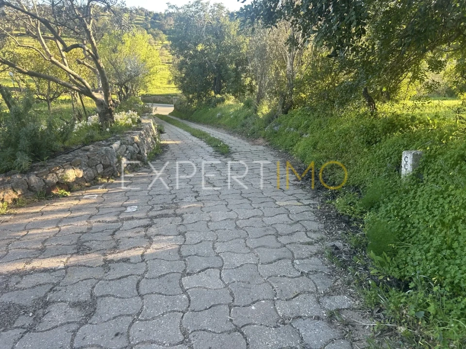 Quinta T4 para Venda em Santa Catarina da Fonte do Bispo Foto 40
