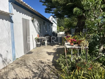 Quinta T4 para Venda em Santa Catarina da Fonte do Bispo