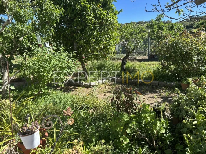 Quinta T4 para Venda em Santa Catarina da Fonte do Bispo Foto 31