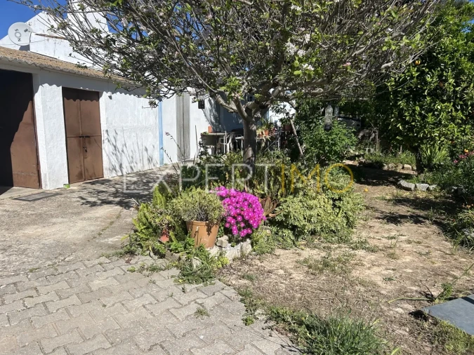 Quinta T4 para Venda em Santa Catarina da Fonte do Bispo Foto 36