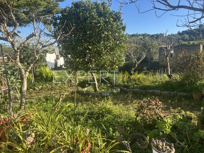 Quinta T4 para Venda em Santa Catarina da Fonte do Bispo Foto 38