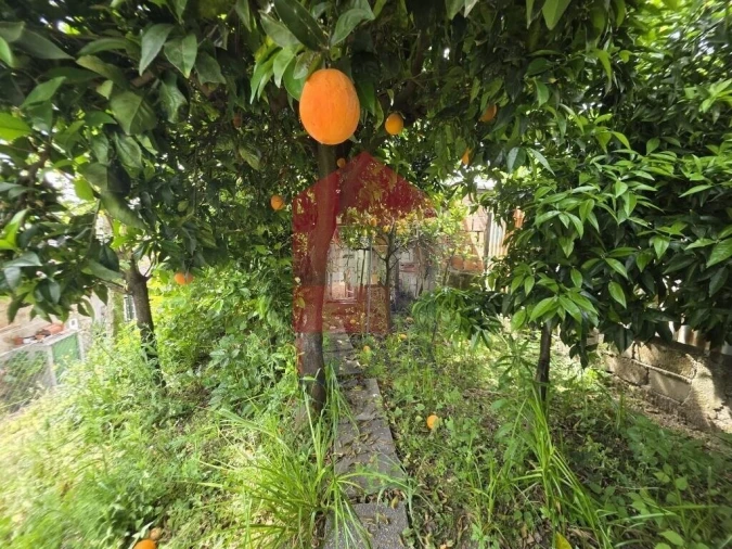 Apartamento T3 para Venda em Vila Verde e Barbudo Foto 37