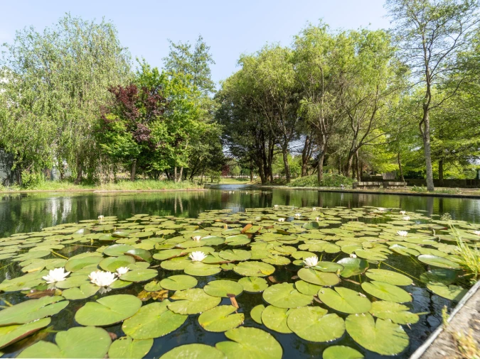 Apartamento T1 para Venda em São Mamede de Infesta e Senhora da Hora Foto 10