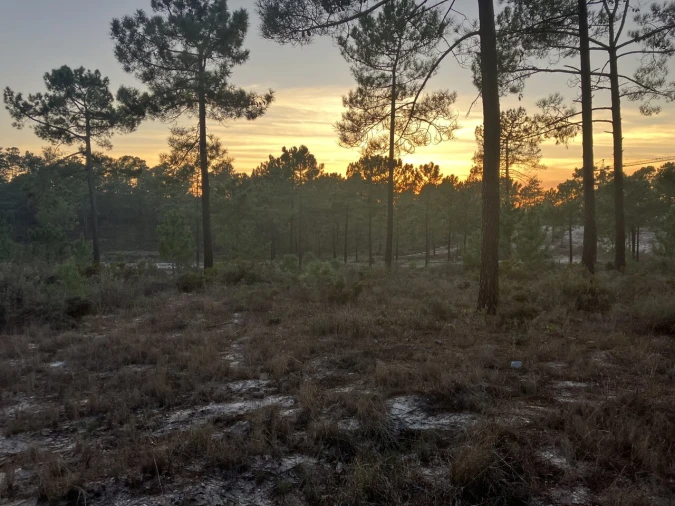 Moradia T3 para Venda em Carvalhal Foto 16