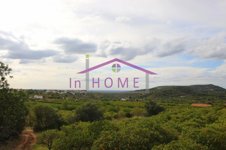 Terreno para Venda em Alte Foto 5