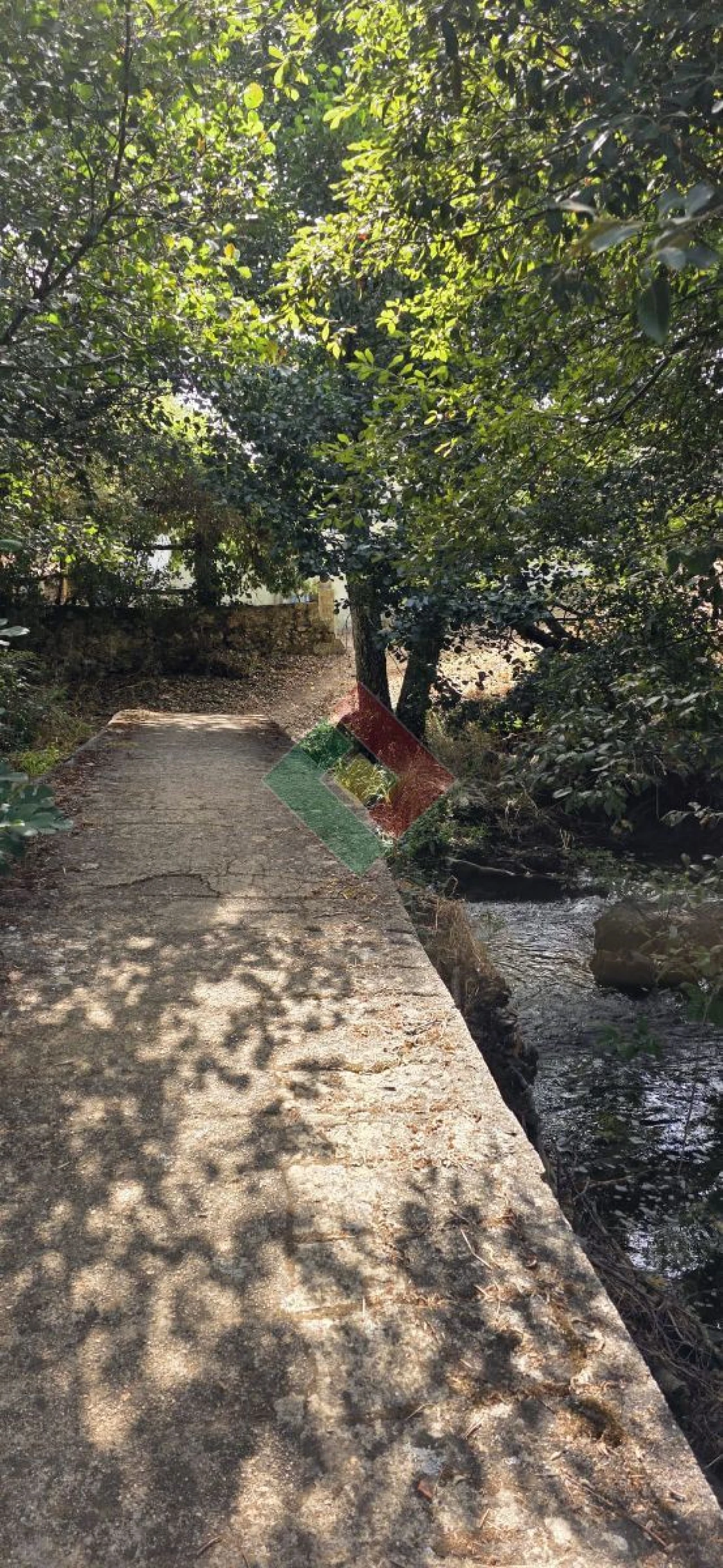 Quinta T2 para Venda em São Salvador da Aramenha Foto 7