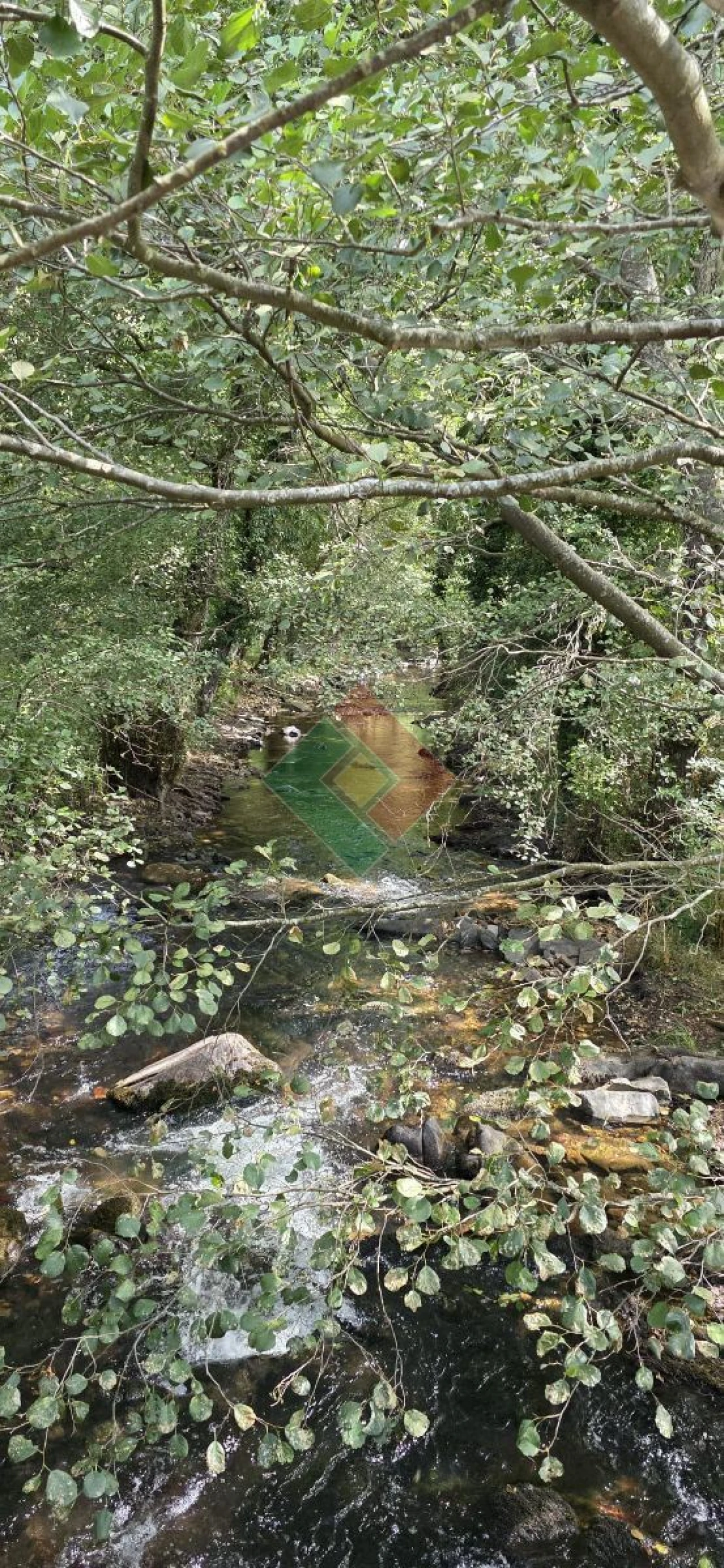 Quinta T2 para Venda em São Salvador da Aramenha Foto 8