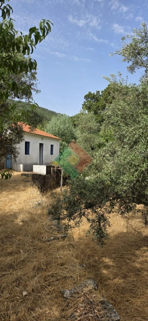 Quinta T2 para Venda em São Salvador da Aramenha