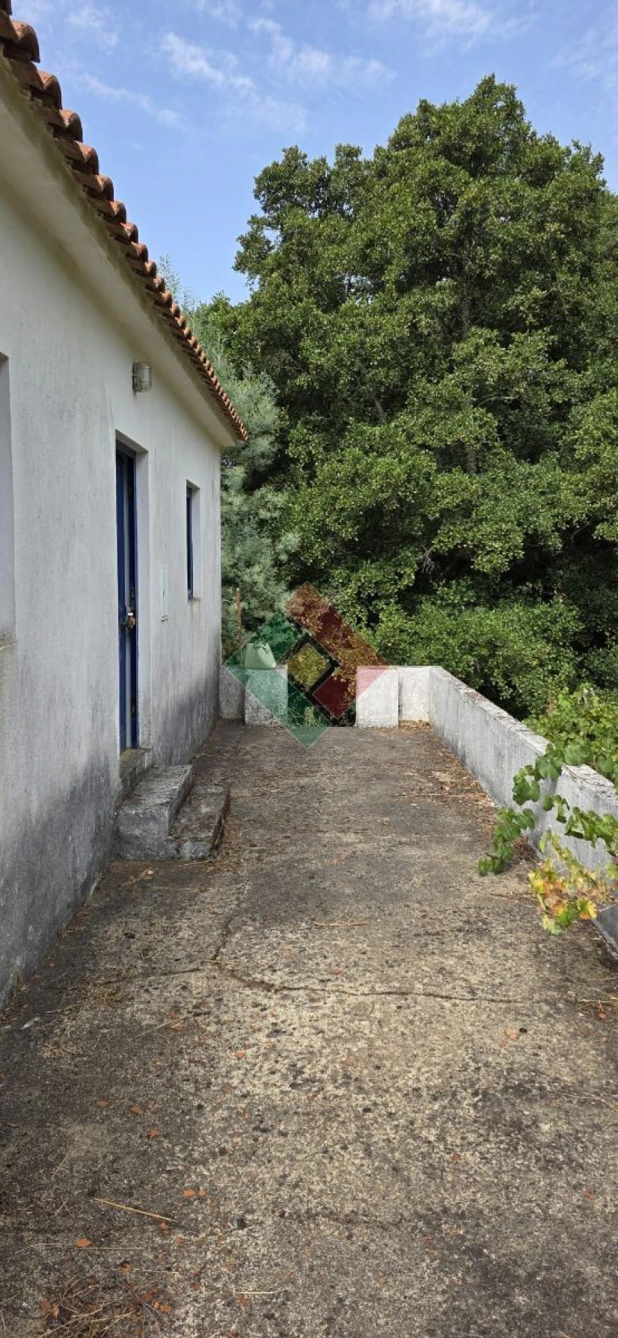 Quinta T2 para Venda em São Salvador da Aramenha Foto 3