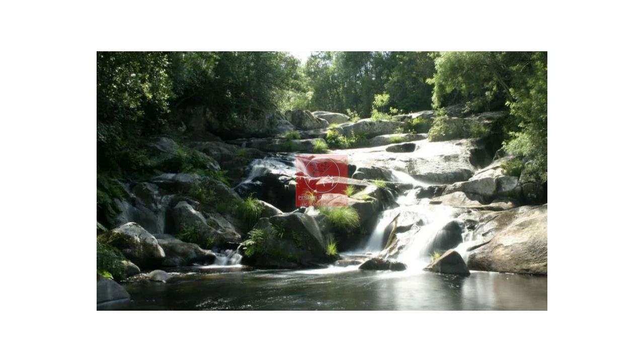 Moradia T2 para Venda em São João de Tarouca Foto 1