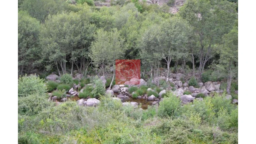 Moradia T2 para Venda em São João de Tarouca Foto 2