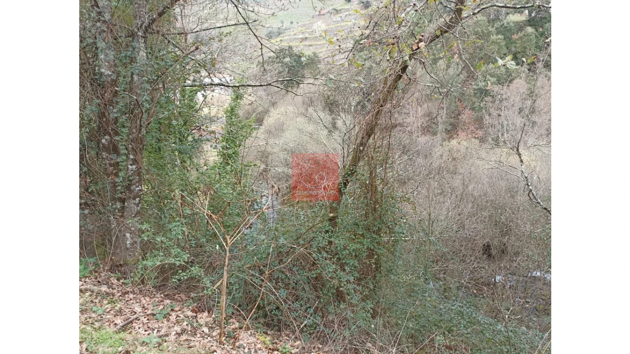 Terreno para Venda em Vila Marim Foto 23