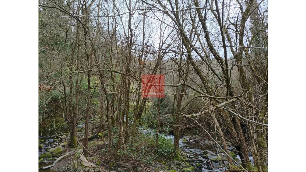 Terreno para Venda em Vila Marim Foto 2