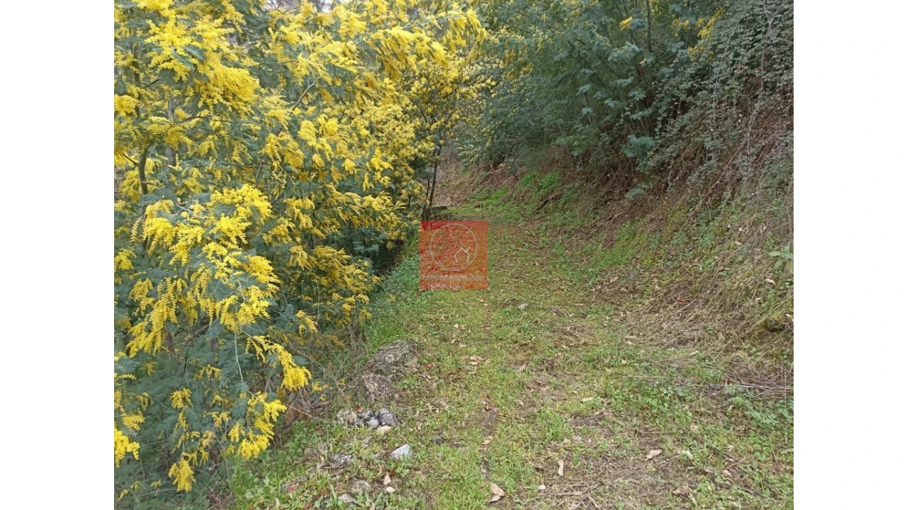 Terreno para Venda em Vila Marim Foto 24