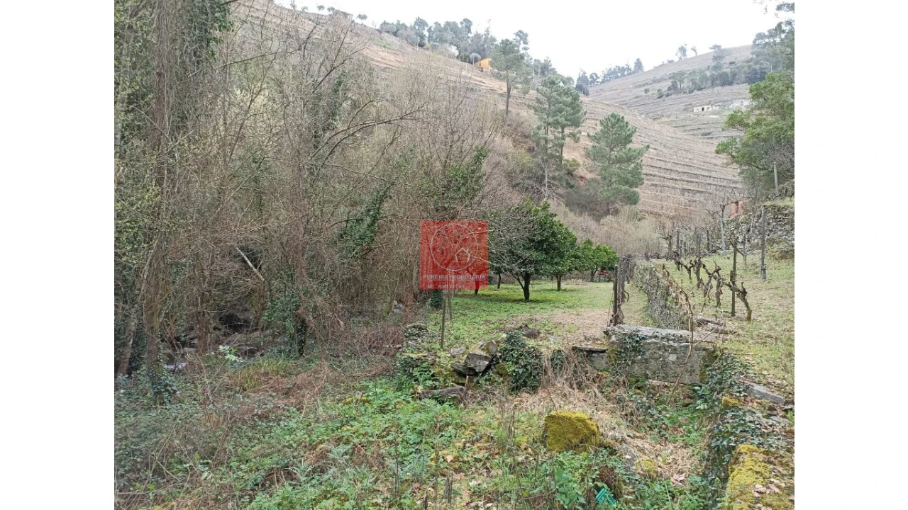 Terreno para Venda em Vila Marim Foto 1