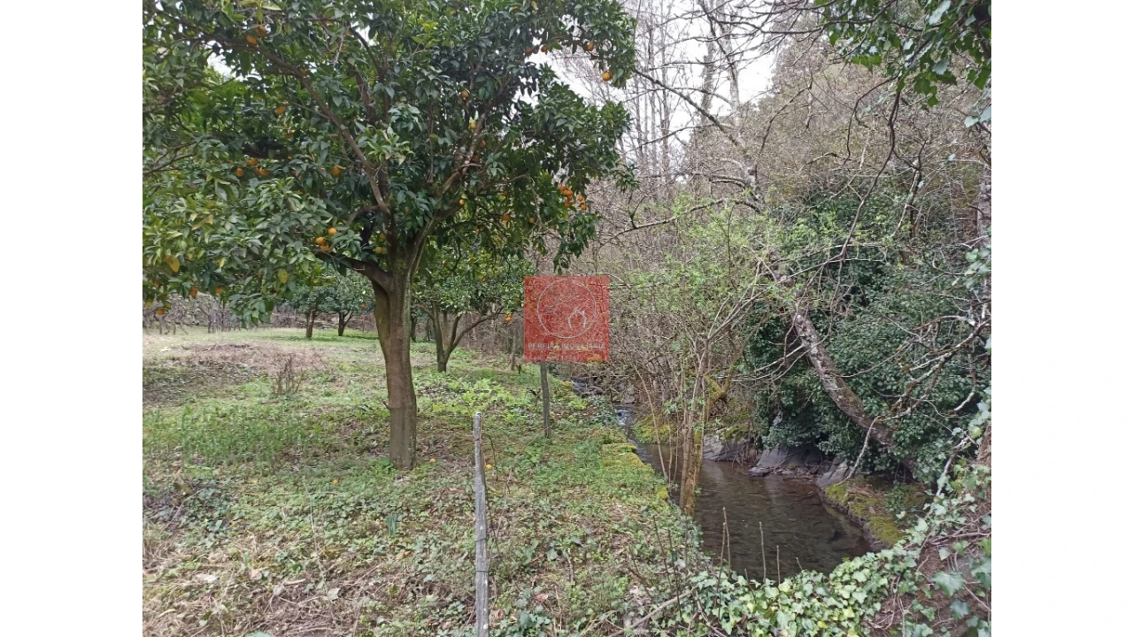 Terreno para Venda em Vila Marim Foto 8