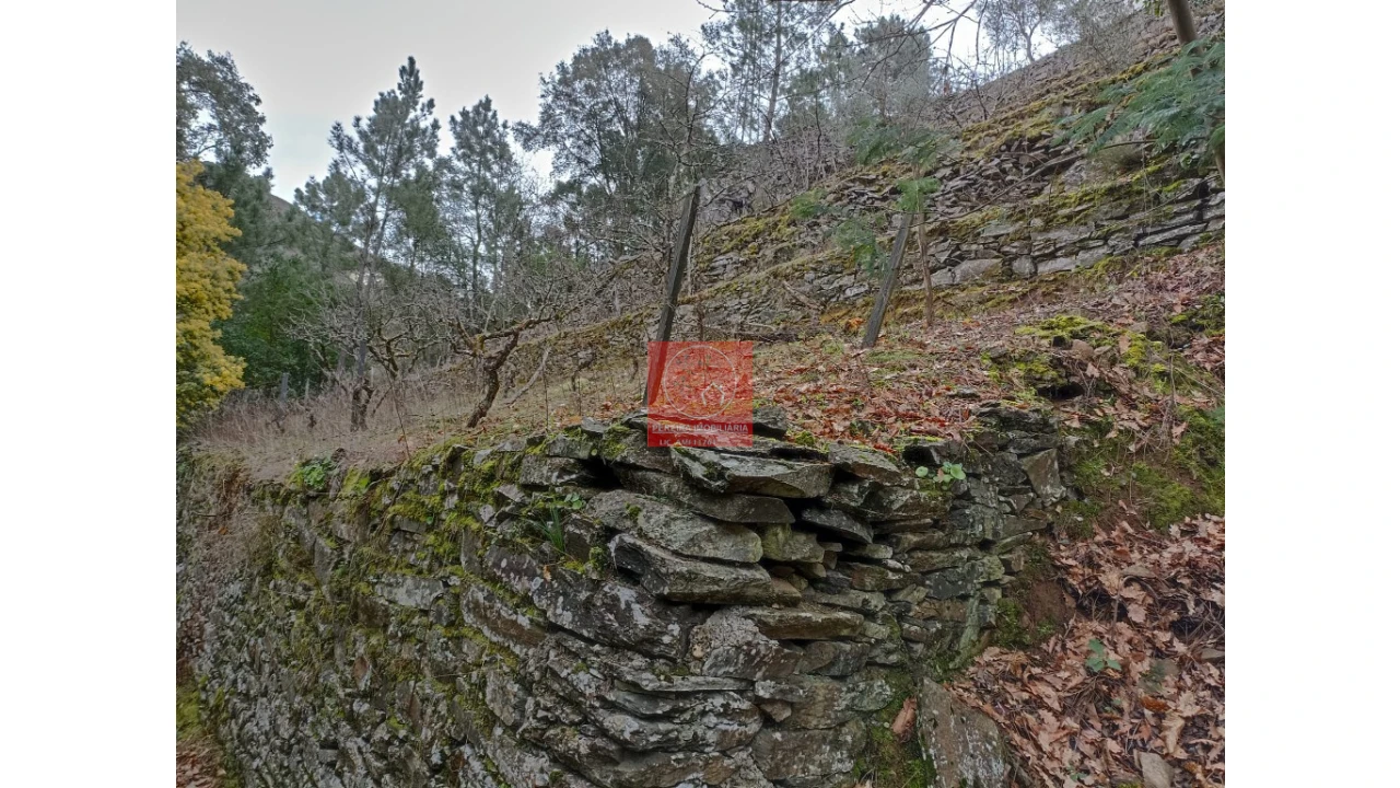Terreno para Venda em Vila Marim Foto 22