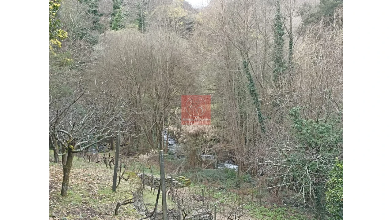 Terreno para Venda em Vila Marim Foto 19