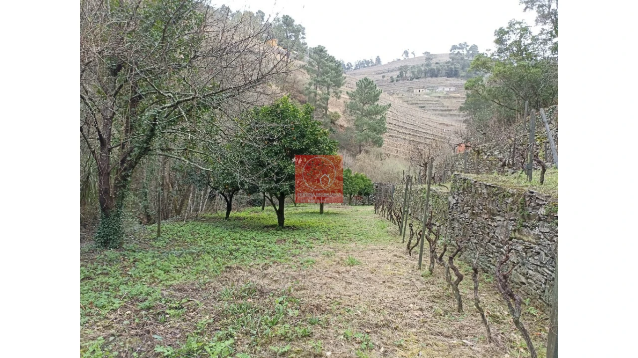 Terreno para Venda em Vila Marim Foto 6