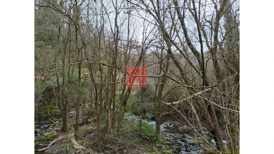 Terreno para Venda em Vila Marim Foto 2