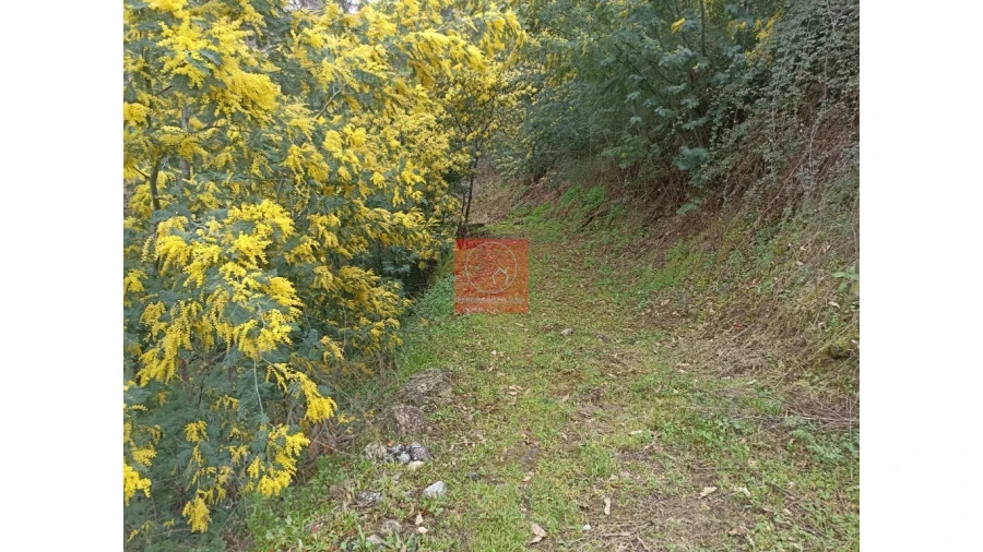 Terreno para Venda em Vila Marim Foto 24