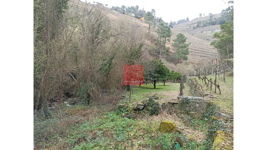 Terreno para Venda em Vila Marim