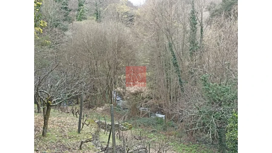 Terreno para Venda em Vila Marim Foto 19