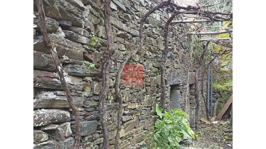 Terreno para Venda em Vila Marim Foto 15